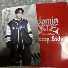 Stray Kids changbin ランダムフォトカード 11