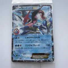 ポケカ アルセウス マグマ団のグラードンEX サトシゲッコウガEX まとめ