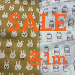 Item thumbnail for item 35396843-ffa7-4f7a-bc77-5b020284fd37