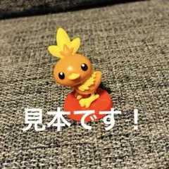 ポケットモンスター　旅立ちの3匹 アチャモ