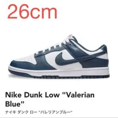 【26cm】Nike Dunk Low 