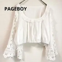 ★美品 PAGEBOY ページボーイ ブラウス レース クロップド丈 白