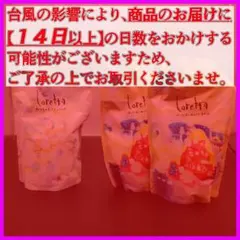 ロレッタ まいにちのすっきりシャンプー 業務用 詰め替え - メルカリ