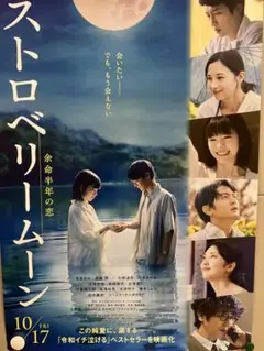 2025年最新】田中麗奈 ポスターの人気アイテム - メルカリ