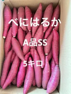 べにはるか　A品SS 5キロ