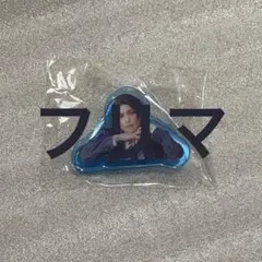 ガイ エーステ アクリル クリップ