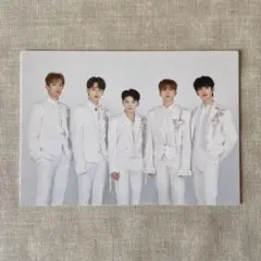 seventeen セブチ トレカ vocalチーム ボカチ ドームツアーグッズ