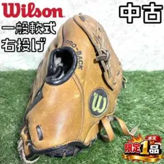 ウイルソン DFS プロスタッフ 限定 A2000レプリカ 内野用 軟式グローブ