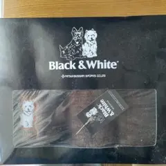 Item thumbnail for item 2af165bd-c3c3-4bab-b9a1-a3634db0d2cf