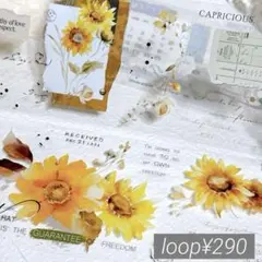 【Yi113】壹洱 / 向日葵 pet 1ループ 100cm ¥290