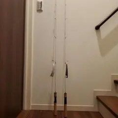 Item thumbnail for item 32715665-675e-47b7-b275-265cb4f133c4