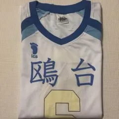 ハイキュー!!10周年グッズ鴎台6番昼神幸郎ユニフォームLサイズ グッズ-Tシャツ】ハイキュー!! 高校ユニフォーム 鴎台高校 昼