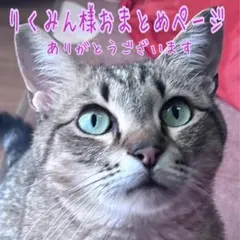 くみっきー様 おまとめページ キーホルダー | Mercari