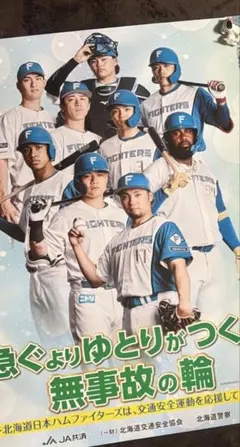 日本ハムファイターズ　新庄剛志　ポスター　非売品　fighters