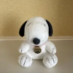 スヌーピー　手乗りサイズ　マスコットチャーム　USJ限定