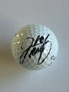 2026年最新】サイン ゴルフボールの人気アイテム - メルカリ