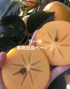 りー様専用出品ページ①