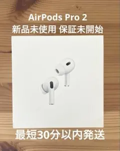 Apple AirPods Pro 第2世代 type C MTJV3J/A