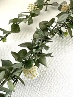 kai☆ʚ♡⃛ɞ༄༅༄༅様 リクエスト 2点 まとめ商品