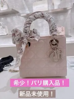 希少！♡Dior レディーディオール　スモール　ストーンチャーム　ピンク　パリ