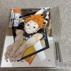 ハイキュー ハイキュー展 原画展 Final アクリルミラーパネル 日向翔陽