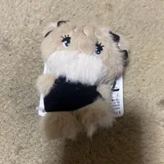 mikko characters BLACK RIBBON マスコットラテ