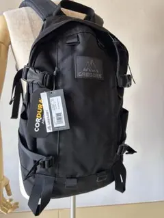 【ほぼ未使用】グレゴリー GREGORY ALL DAY V2.1 BLACKのサムネイル
