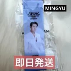 ミンギュ セブチ SEVENTEEN フラッグキーホルダー ガチャ