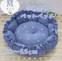 Item thumbnail for item c2fdbda3-a409-4d86-b7c3-66af416638f7