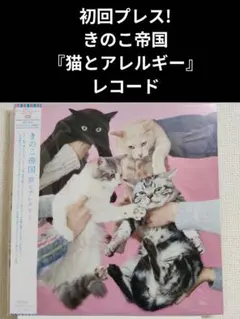 新品 1stプレス きのこ帝国 猫とアレルギー 廃盤レコード LP アナログ