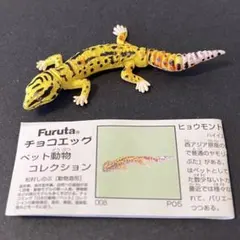 チョコエッグ ペット動物 第1弾 ヒョウモントカゲモドキ ハイイエロー 海洋堂