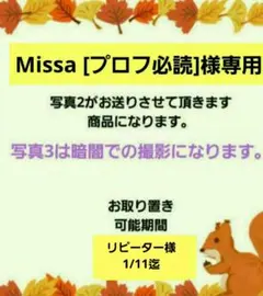 Missa様 専用 クロックスや サンダル や 鞄等の アクセサリー ジビッツ