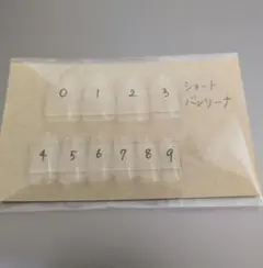 計測用　ネイルチップ