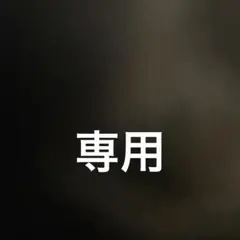 専用　仗助のみ