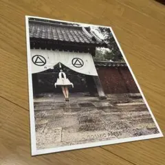 2025年最新】会報の人気アイテム - メルカリ