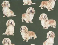 【ゆきちゃん限定】X2500-1 ダックス イエロー（クリーム）カーキ 布 1m