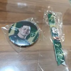 Item thumbnail for item 9c11ff95-3e1b-4db3-9e45-ef85f84e6a91