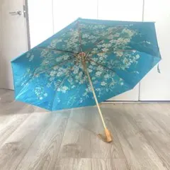 Item thumbnail for item 497df84b-ba22-45f7-8805-234f5a4c0e2a