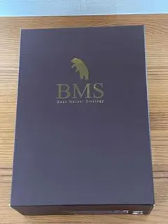 BMS　ベアマーケットストラテジー　内田博史 ☆美品☆BMS ベアマーケットストラテジー 下げ相場だから勝つ