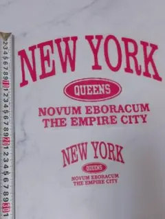 Item thumbnail for item fe0a1527-d8e4-4416-ac57-5ae025064aab