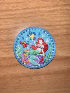 刺繍缶バッチ　ディズニー