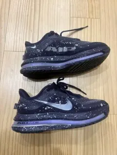 NIKE AIR ZOOM ペガサスプレミアム　22cm
