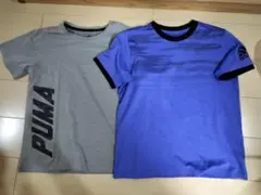 PUMA グレーTシャツ & adidas 青LサイズTシャツ