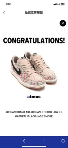 （八村塁着用）タグ付き　NIKE AIR JORDAN 1 ジムレッド　29cm 八村塁がNBA入団時に履いていたバッシュ！エアジョーダン1 OG