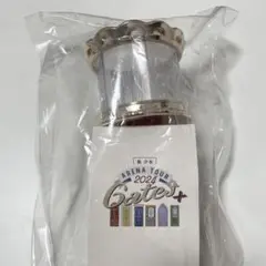 美少年　ペンライト　Gates+