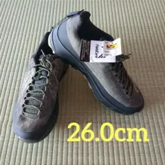 Item thumbnail for item 6a45db70-73fc-4350-b6a9-5ca95ba5b59f