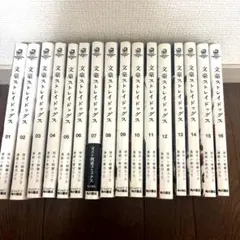 文豪ストレイドッグス 1-24巻 STORM BRINGER 24巻未開封 - メルカリ