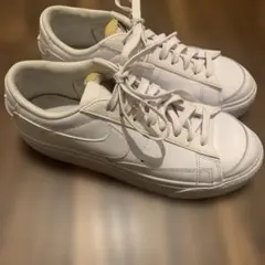 Item thumbnail for item 4f5ebf96-3cb7-4059-867a-dc3e8c306c19