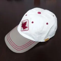 Item thumbnail for item 5081e242-26bf-4409-bdca-ab9a9d790948