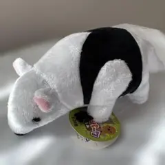 Item thumbnail for item 7a249b5b-48a0-448e-b9a5-baf6c83a41ef